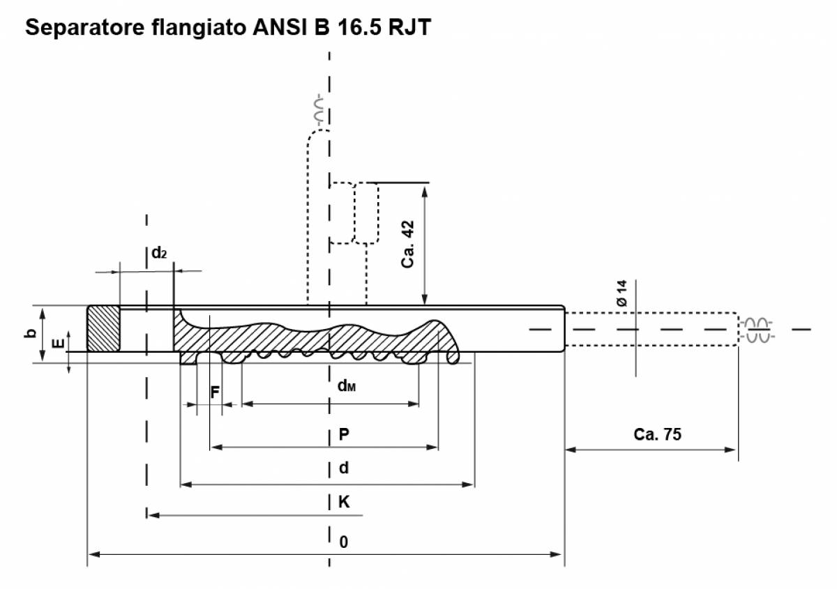 Separatore flangiato ANSI B 16,5 RJT